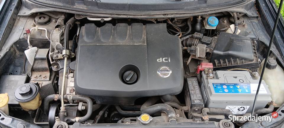 Nissan Primera kombi Ostrowite