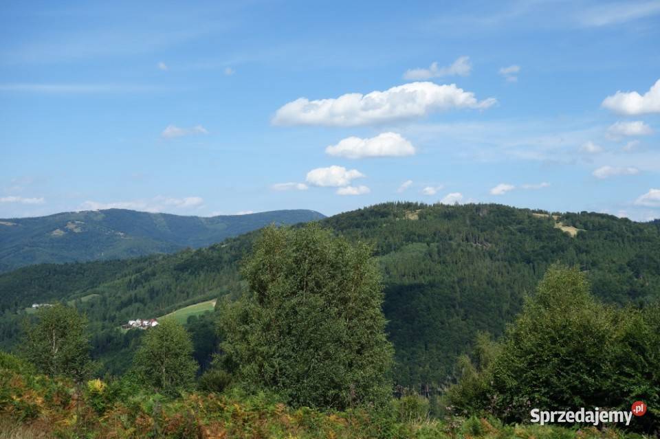 Brenna 253 ha działka inwestycyjna wyciągu 25300m2 małopolskie Kraków