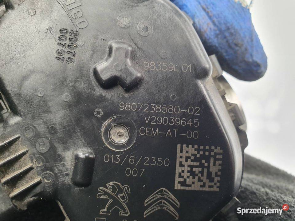 PRZEPUSTNICA PEUGEOT 308 9807238580 Lipno