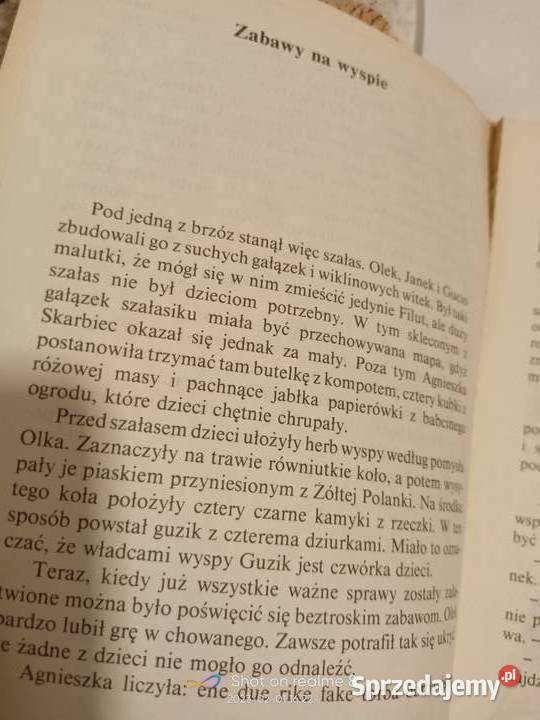 Wakacje na guziki Skąpska książki Warszawa sprzedam