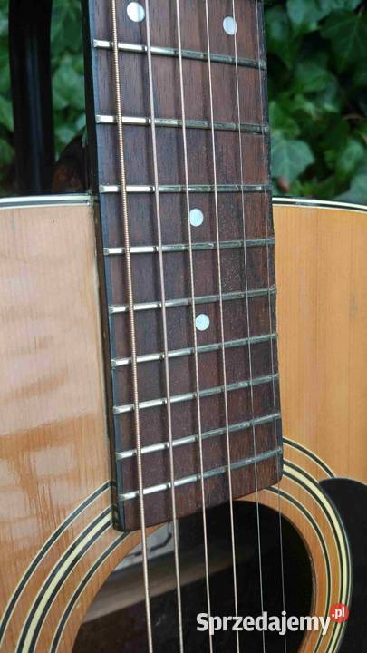 Gitara elektro akustyczna Encore Korea łódzkie Tuszyn