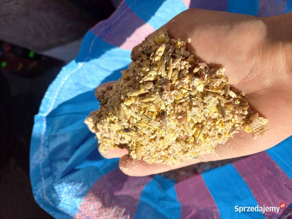 Naturalna pasza ptaków Rakowice Małe