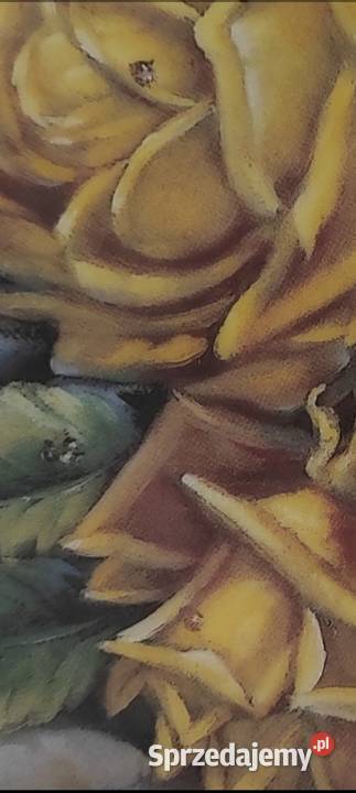 Frstenberg Najpiękniejsze stare różetalerz Pabianice