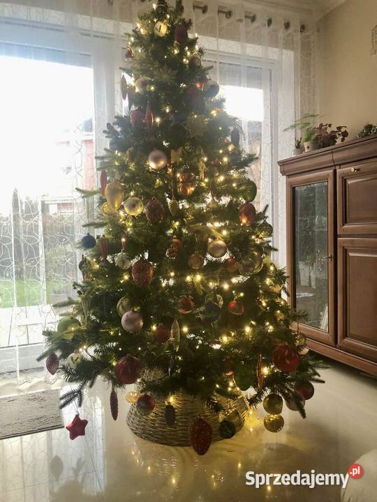 Piękna gęsta choinka 180m zachodniopomorskie Warzymice