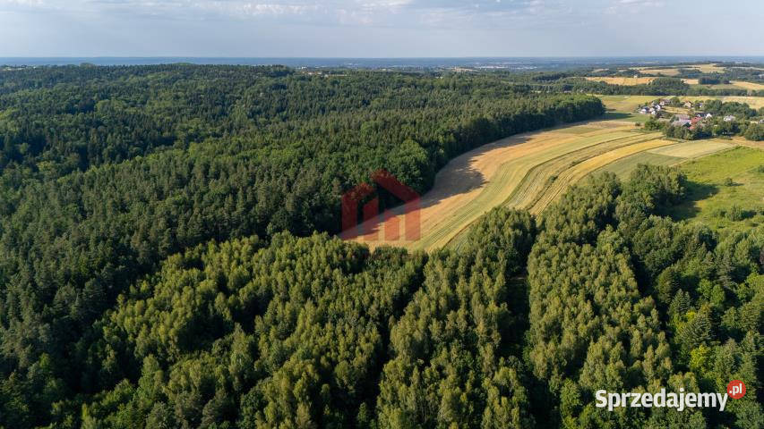 Działka Gnojnica 13000m2 prąd podkarpackie sprzedam