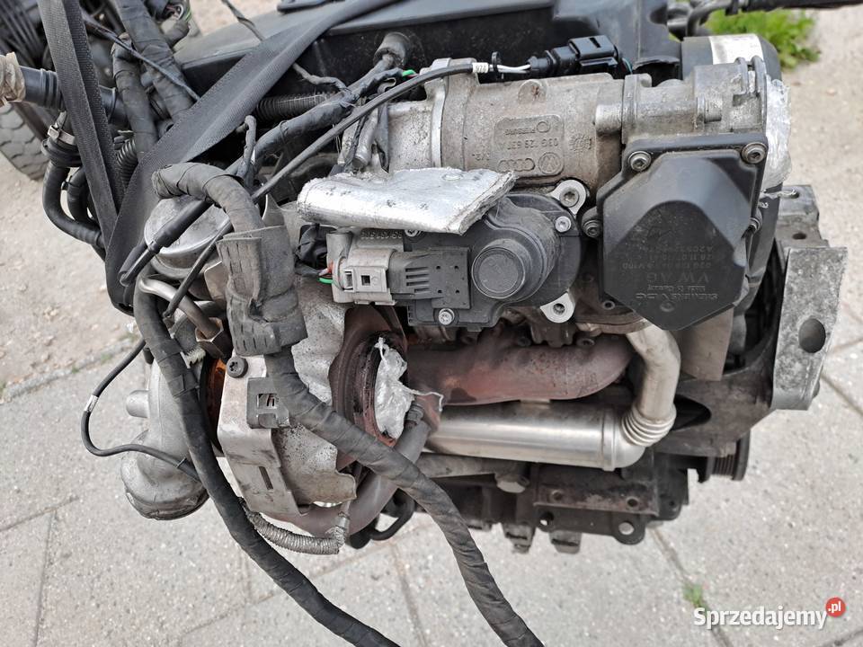 Audi Seat Skoda Volkswagen 19 TDi 105 silnik