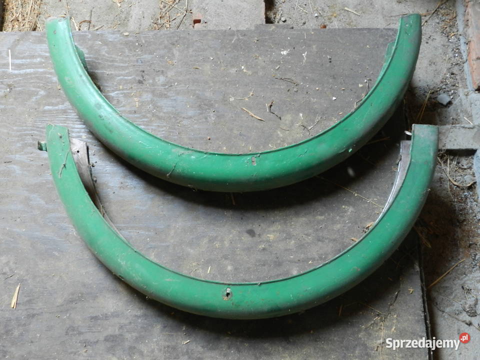 komar błotnik podkarpackie Rymanów