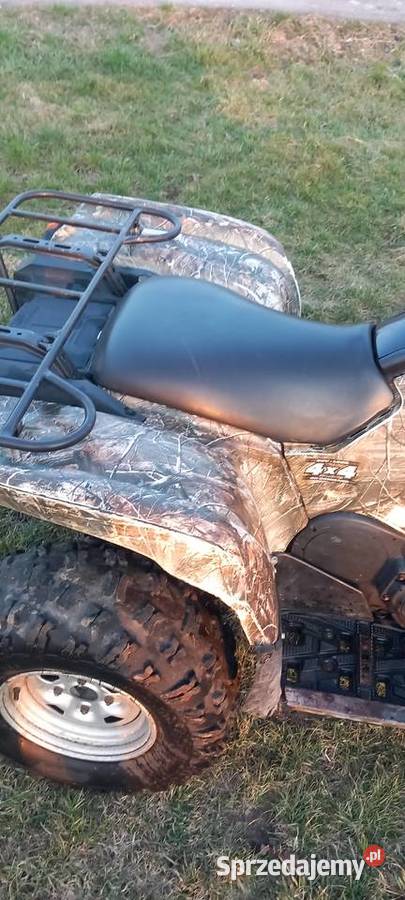 Qad yamaha gryzzly 700 zarejestrowany Jangrot