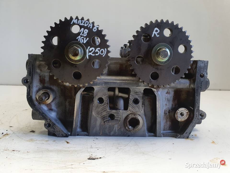 Ford Focus MK2 18 16V GŁOWICA CYLINDRÓW Głowice cylindrów Janów