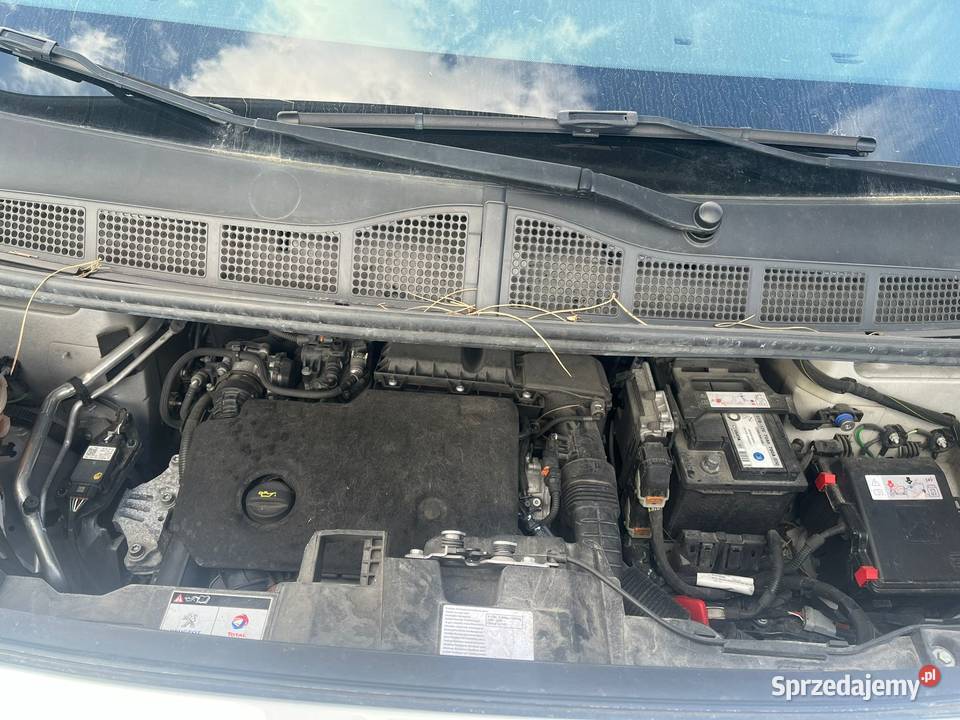 PEUGEOT Expert 15 BlueHDi 102 Premium FY525 biały dolnośląskie Wrocław