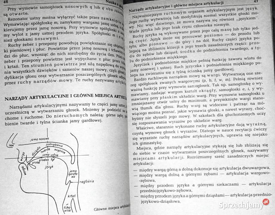 Gramatyka języka polskiego Zarys popularny Piotr