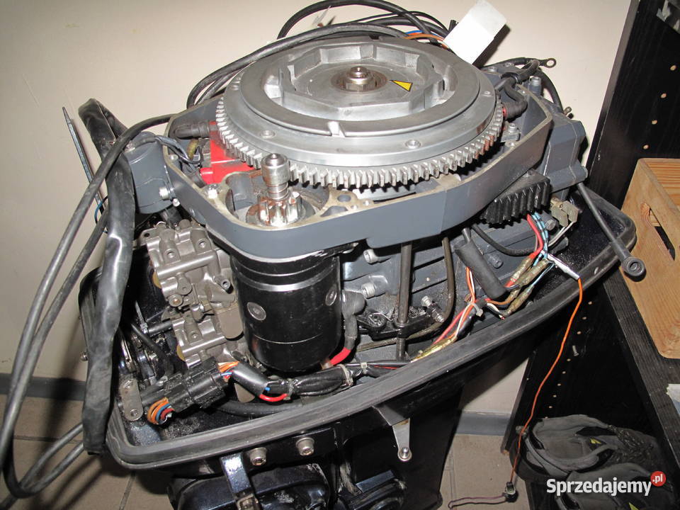 Silnik zaburtowy Selva 35 Ostrów Wielkopolski