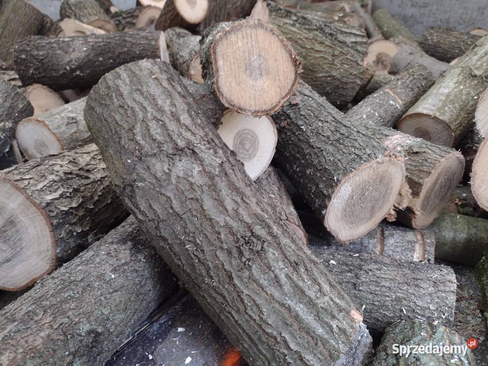 Drewno opałowe twarde buk brzoza Kłodzko