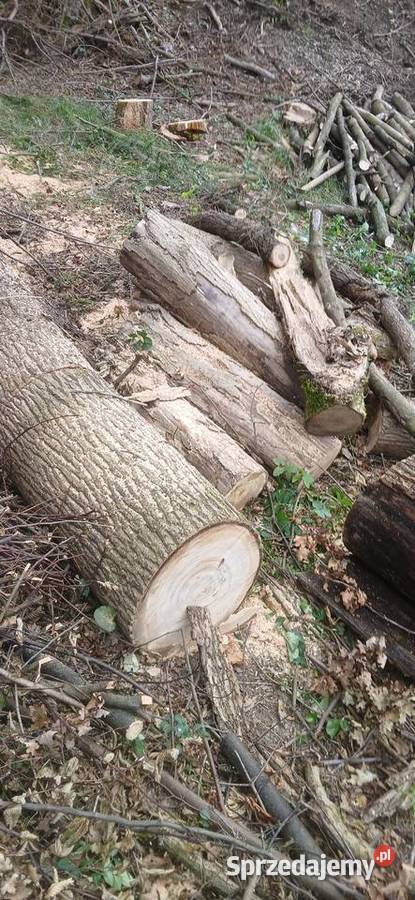 Drewno kominkowe Nowogrodziec