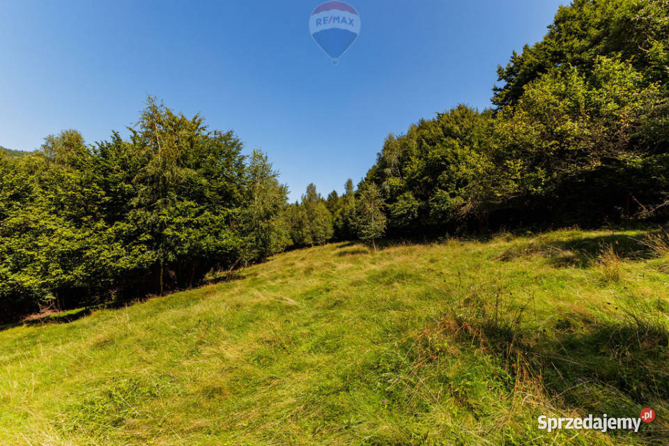 Działka z widokiem na góry Międzybrodzie Międzybrodzie Żywieckie