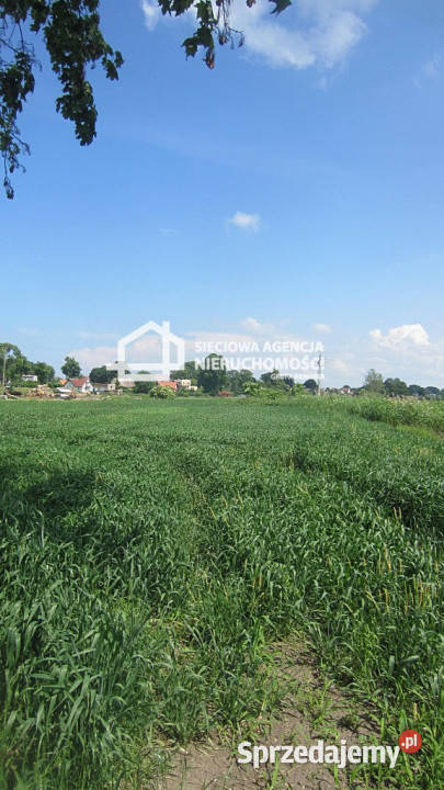 Działka 4000m2 Sztutowo