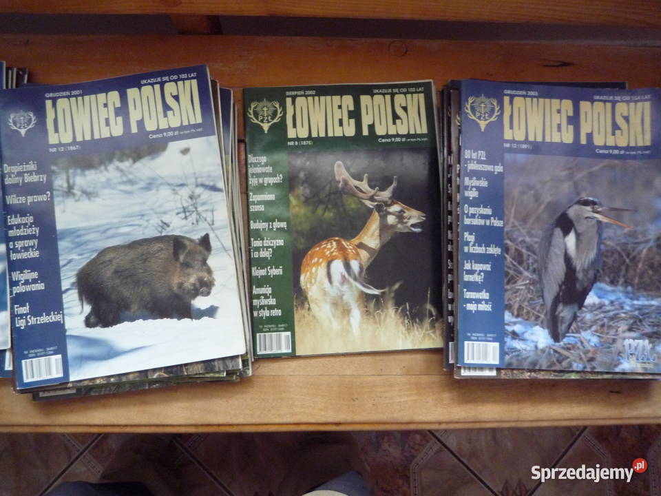 łowiec polski brać łowiecka drwal Chmiel