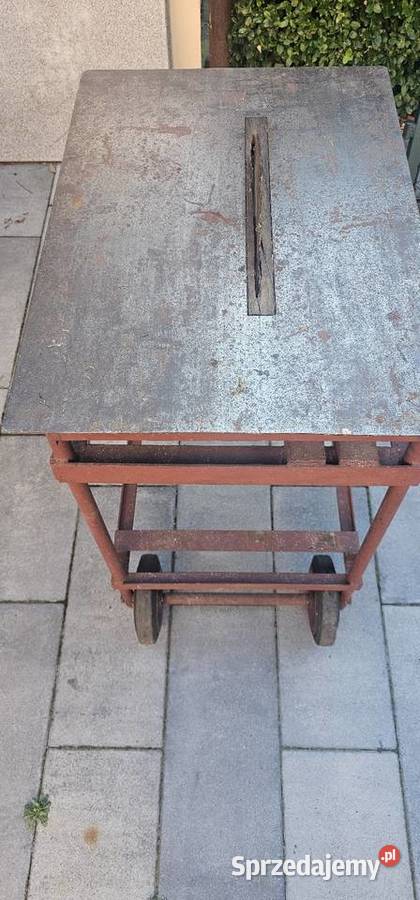 Piła stołowa krajzyga Lubliniec