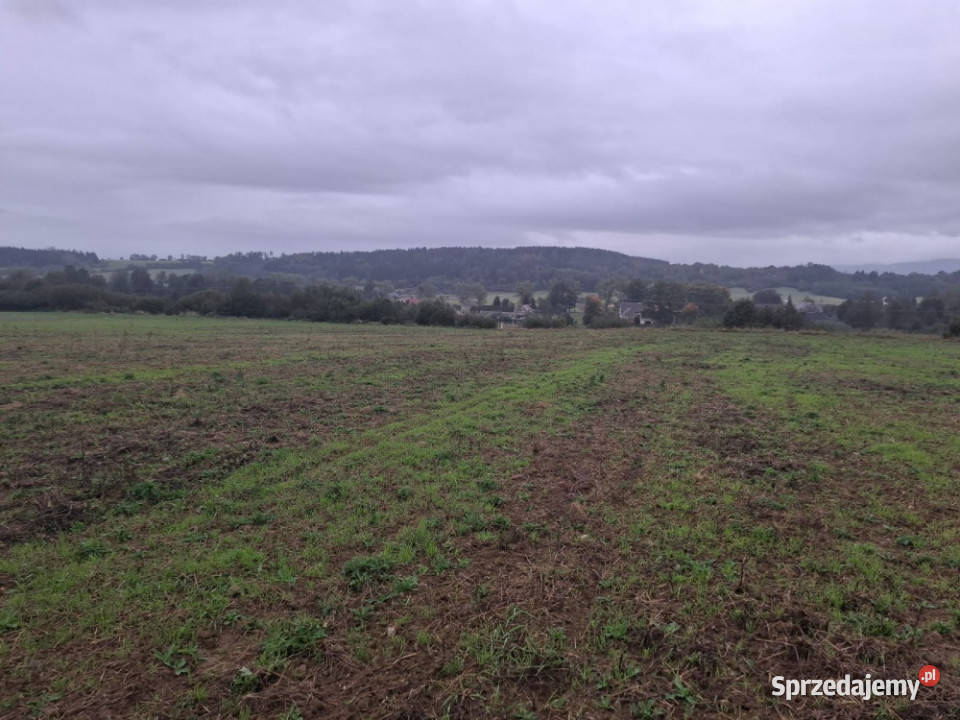 Piękne działki 30 arów w gorach Gorzanów
