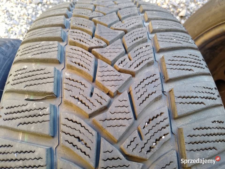 1955516 Continental Winter 2055516 Dunlop Lubań sprzedam