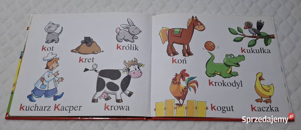 ABC Uczę się K krokodyl Strzałkowska Hachette Książki dla dzieci śląskie