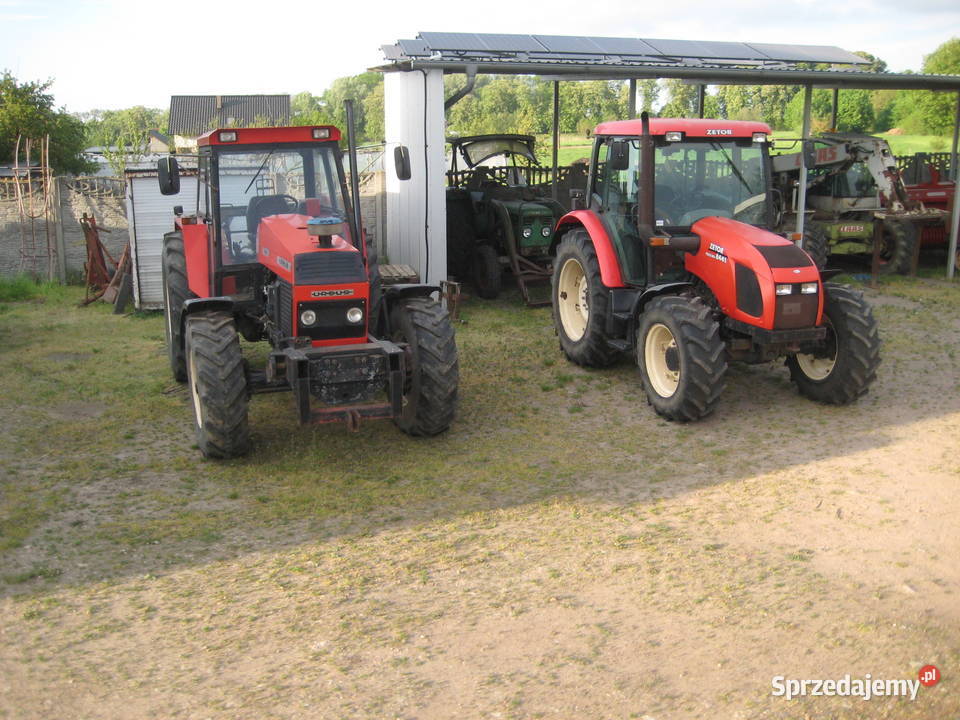 Ciągnik Ursus 1640 Turbo Zetor 8441 PROXIMA Śmigiel