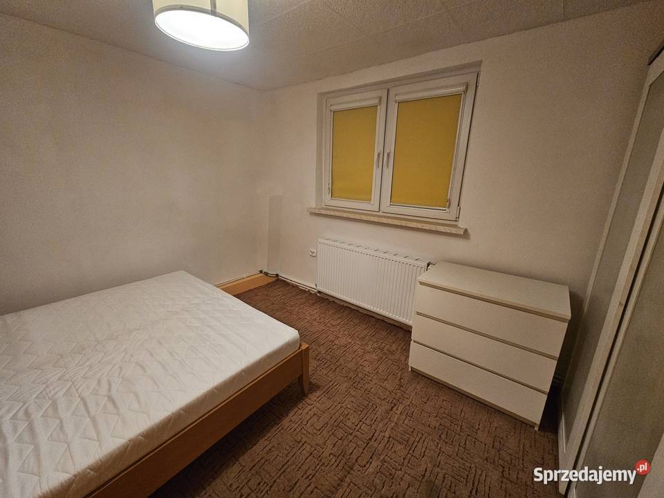 2pok 38met Koszykarskiej PEŁEN ROZKŁADPIWNICA Wrocław