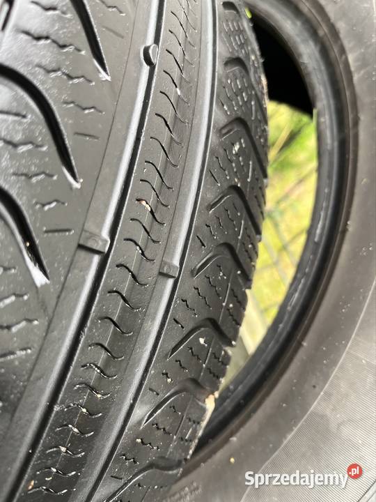 Wzmacniane opony wielosezonowe Pirelli Cnturato Rzekuń