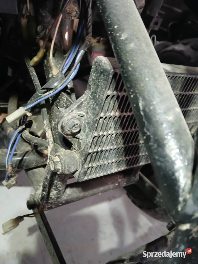 QUAD Aeon Cobra Overland 180 chłodnica oleju