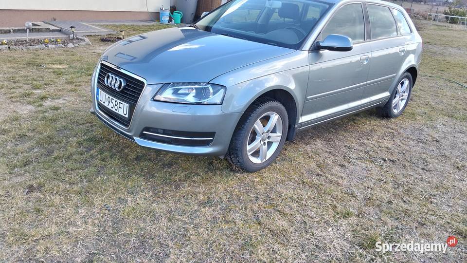 Audi A3 MPI 102 A3 Tarło-Kolonia