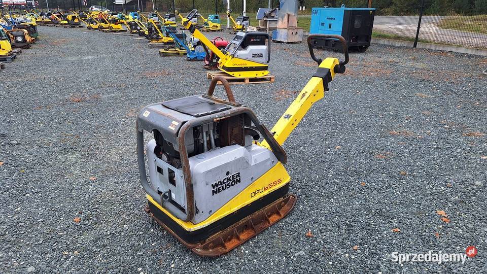 Zagęszczarka Ubijak Gruntu 2017 WACKER NEUSON