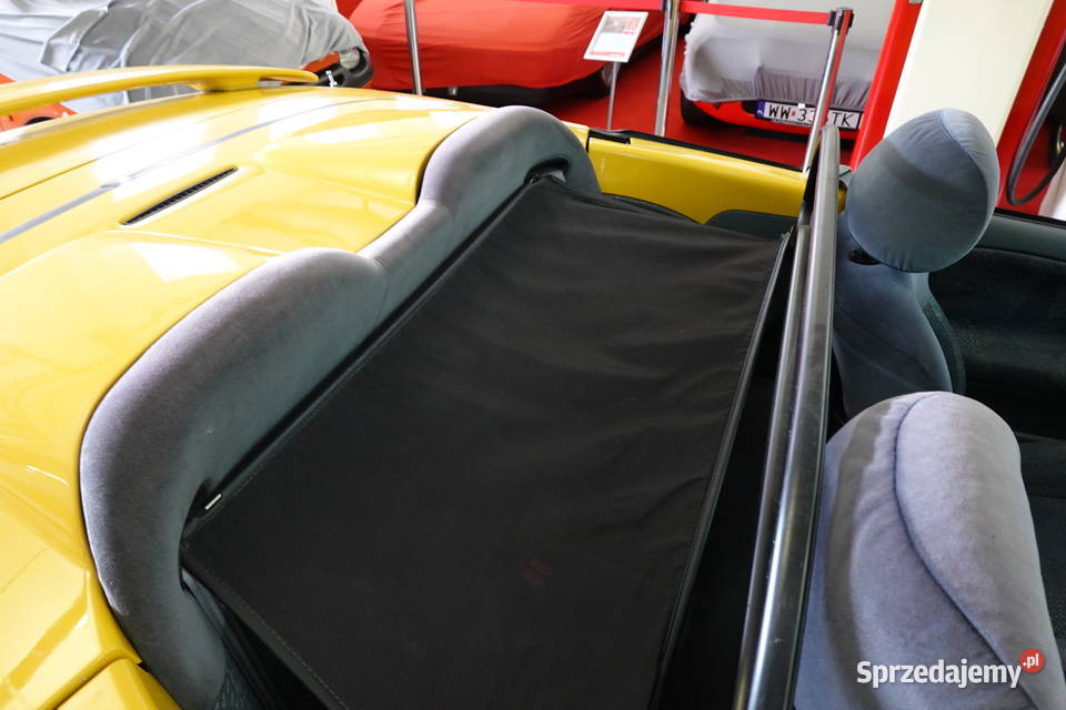 Renault Mgane 20 Cabrio Super Stan Bez korozji Zgierz