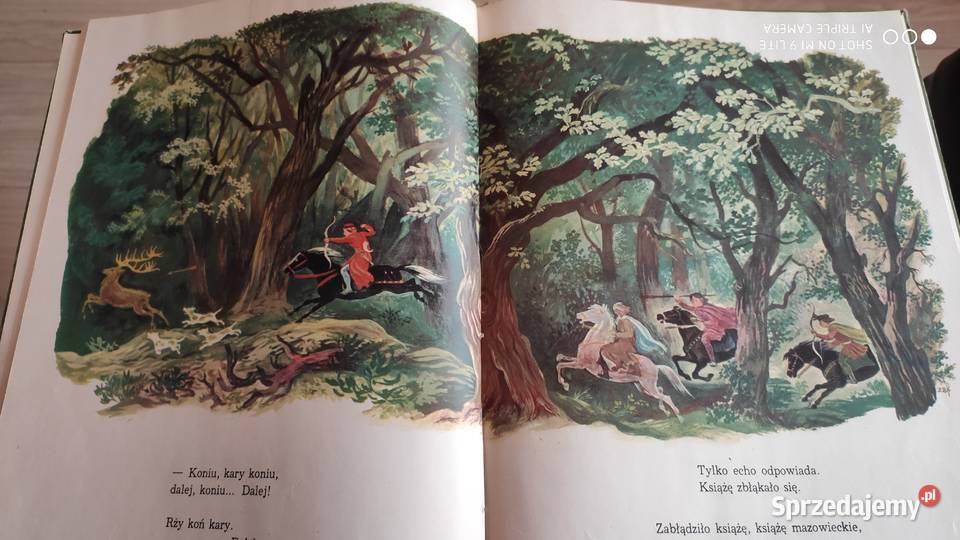 Syrena Warszawska legenda twarda Gdańsk