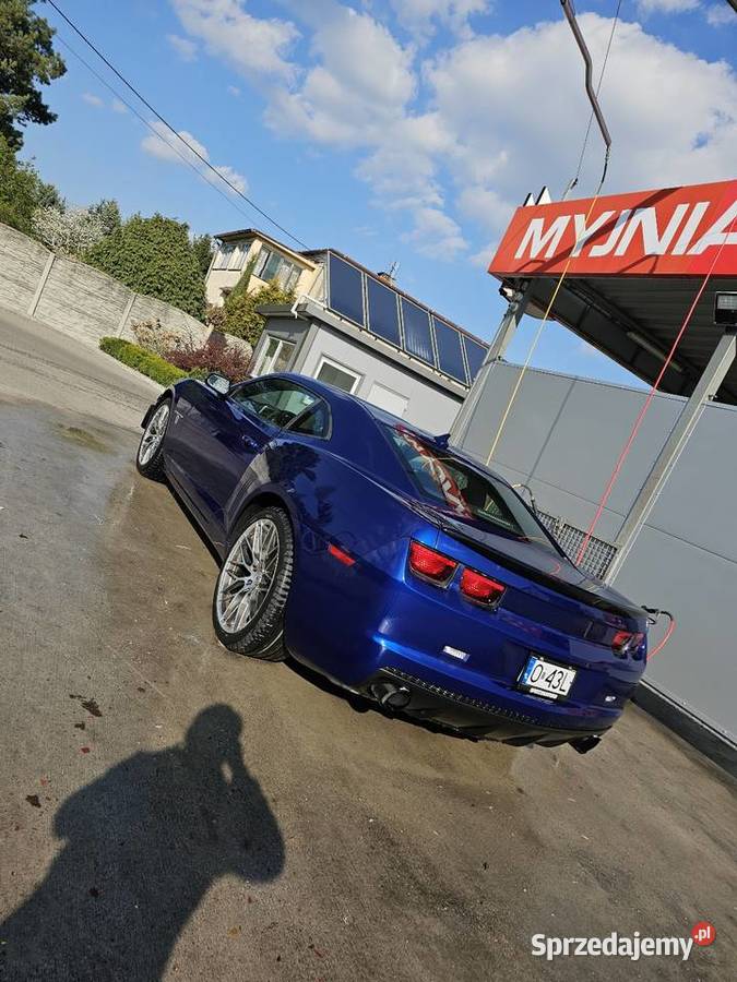Camaro nieuszkodzony Brzeg