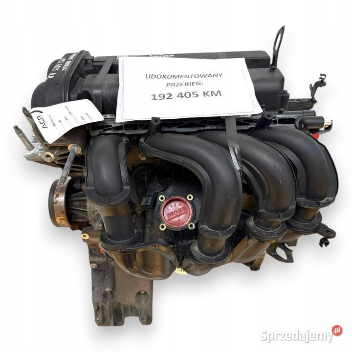 SILNIK SHDA Ford Focus II MK2 C C 16 16V 100 Chełm sprzedam