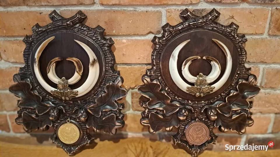 Rzeźbione podkładki pod medalowy oręż dzika wielkopolskie Odolanów sprzedam
