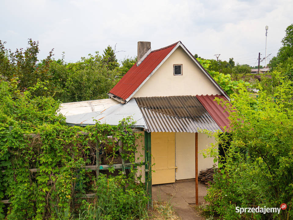 Działka w ROD Złocień ruokliwy solidny domek dolnośląskie