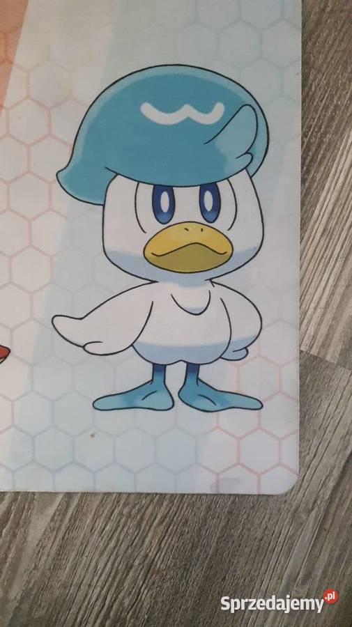 Mata pokemon Szczecin