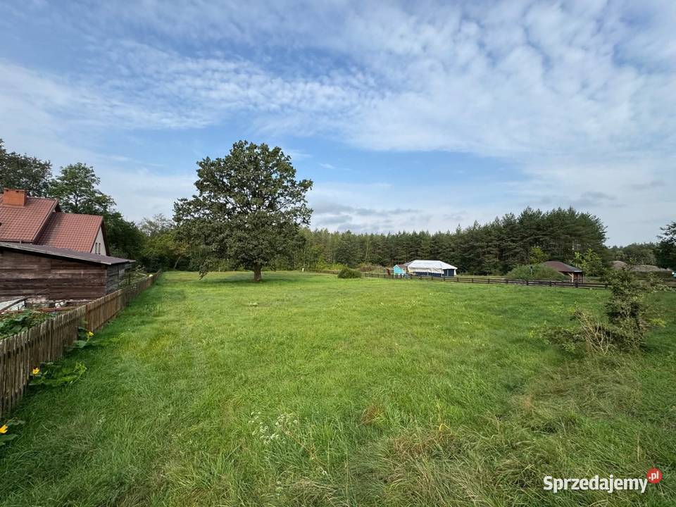 Działka budowlana o pow 3 499 m we wsi Jeże Sprzedaż