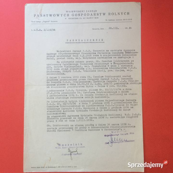 1752 Zaświadczenie Tchórzewski Antykwariat Szczecin