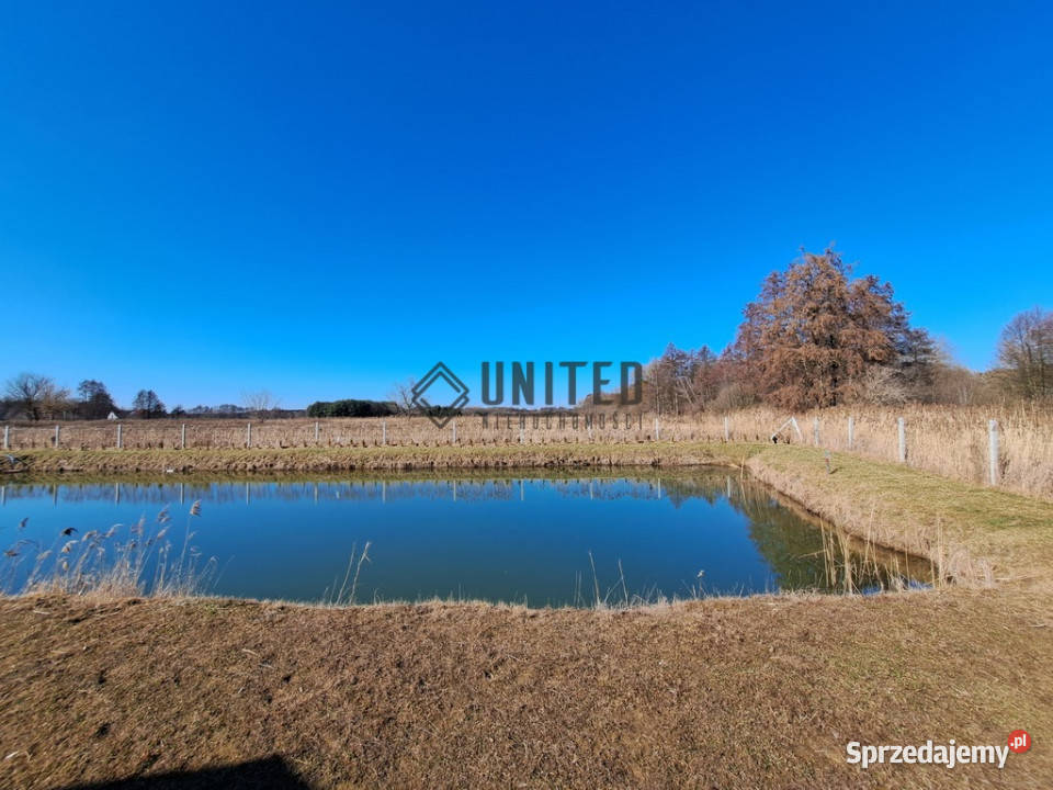 Działki Miłoszyce Małedoki letniskowestaw Miłocice Małe sprzedam