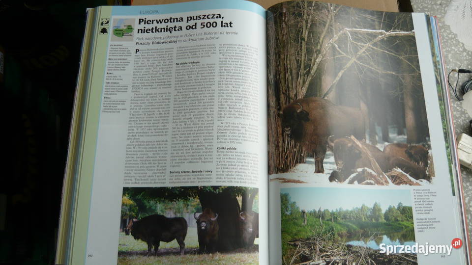 Najpiękniejsze krajobrazy i skarby kultury Sokółka sprzedam