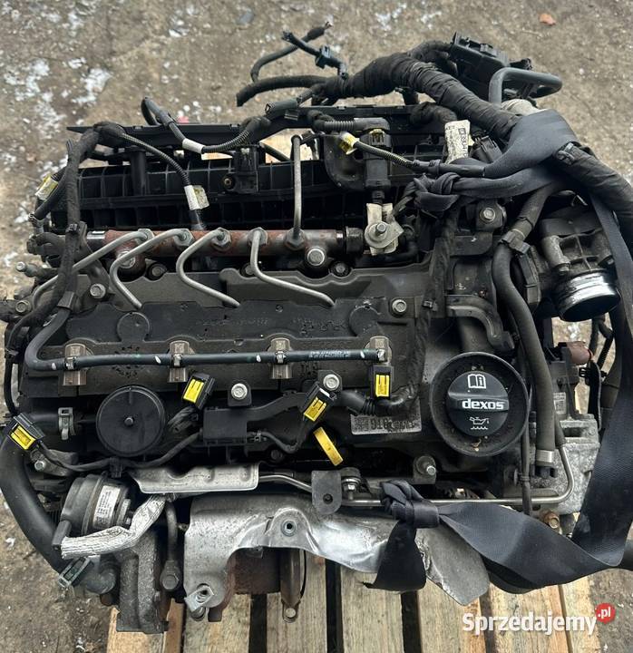 Silnik opel astra k 16 diesel 110 81kw Krzeszowice