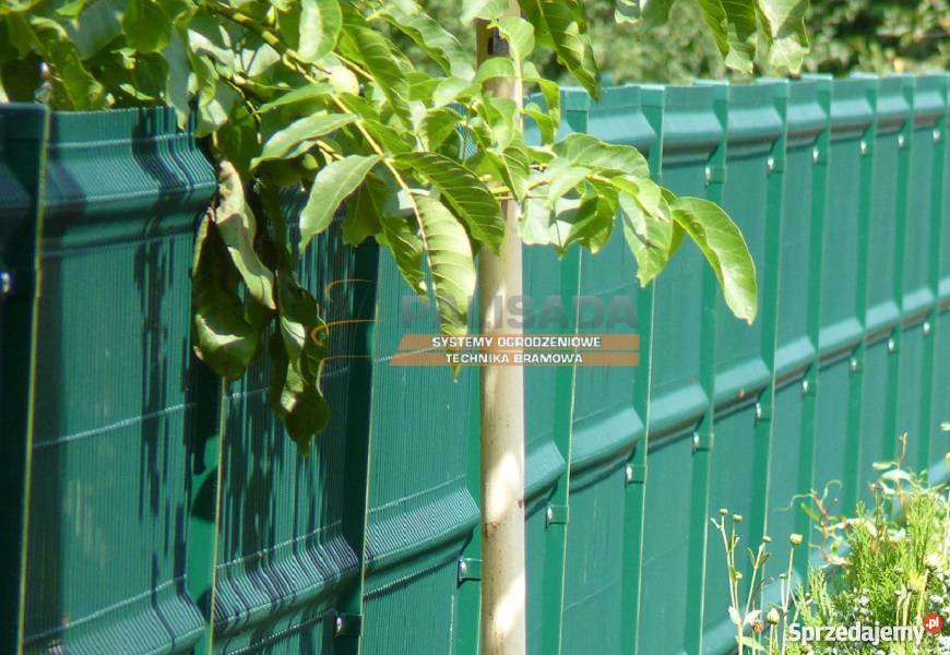 PANELE OGRODZENIOWE 1230 MM FI 5 MM OGRODZENIA kujawsko-pomorskie Bydgoszcz sprzedam