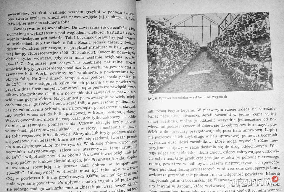 Nowoczesna uprawa pieczarki PJC Vedder