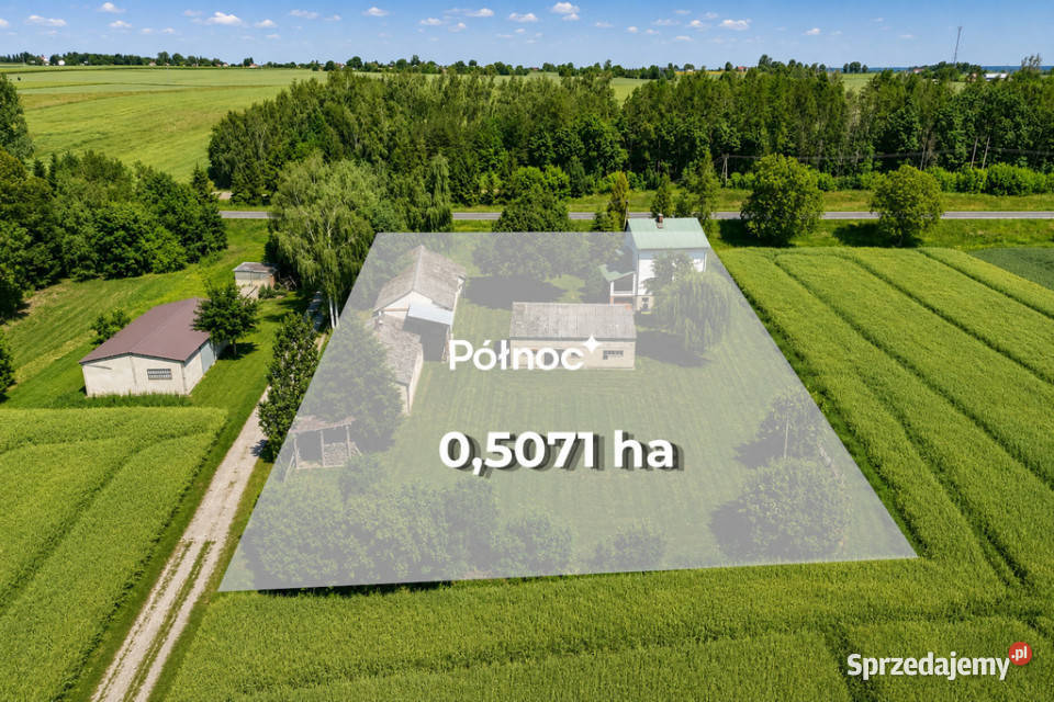 5pokojowy dom z zabudowaniami gosp w Rogalinie 5071m2 Sprzedaż Rogalin