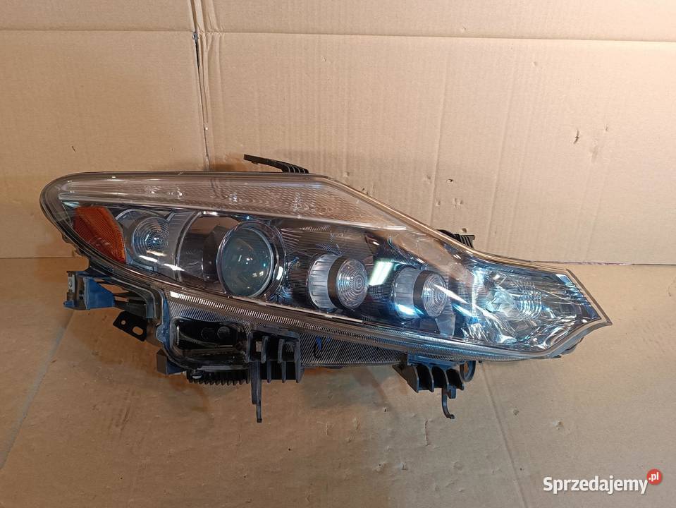 NISSAN MURANO Z51 II LAMPA PRAWY PRZÓD EUROPA osobowe Nowy Tomyśl