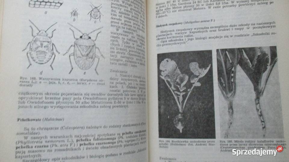 Ochrona roślin rolnictwo uprawa szkodniki ogród Łódź