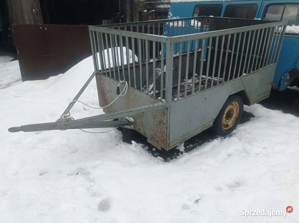 Kultywator grudziądzki 14łapowy nieuszkodzony Piaski