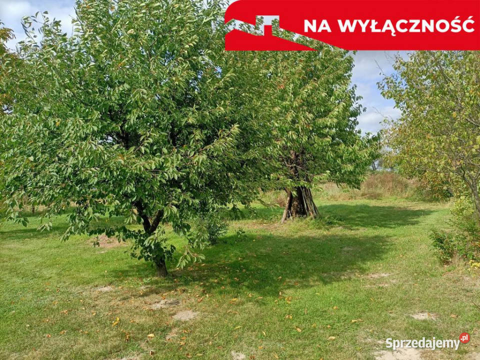 Działka 4017 m2 budowlana Leokadiów gm Puławy asfalt lubelskie sprzedam